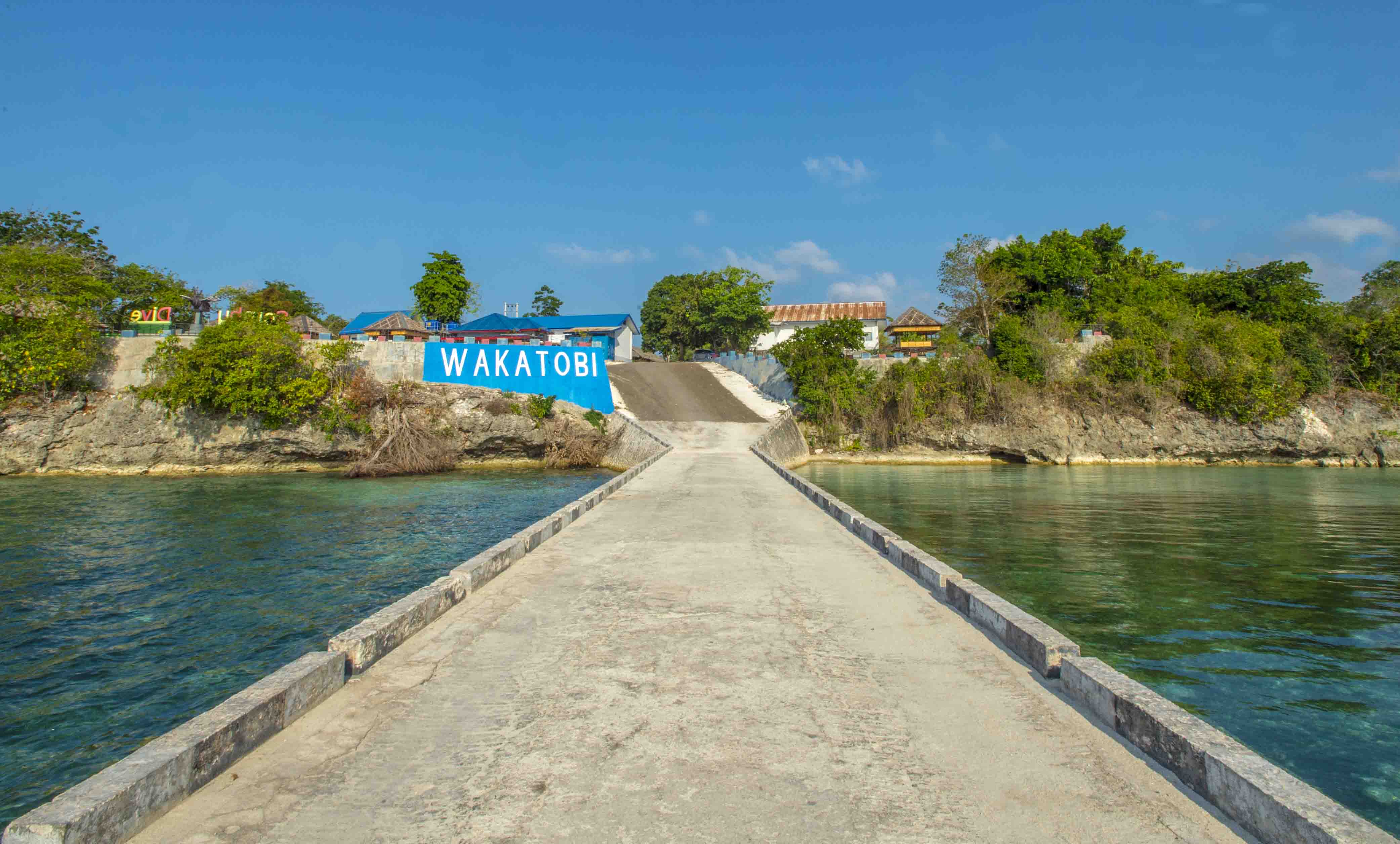 Wakatobi Jadi Lokasi Penyusunan Target Pasar Wisata Bahari