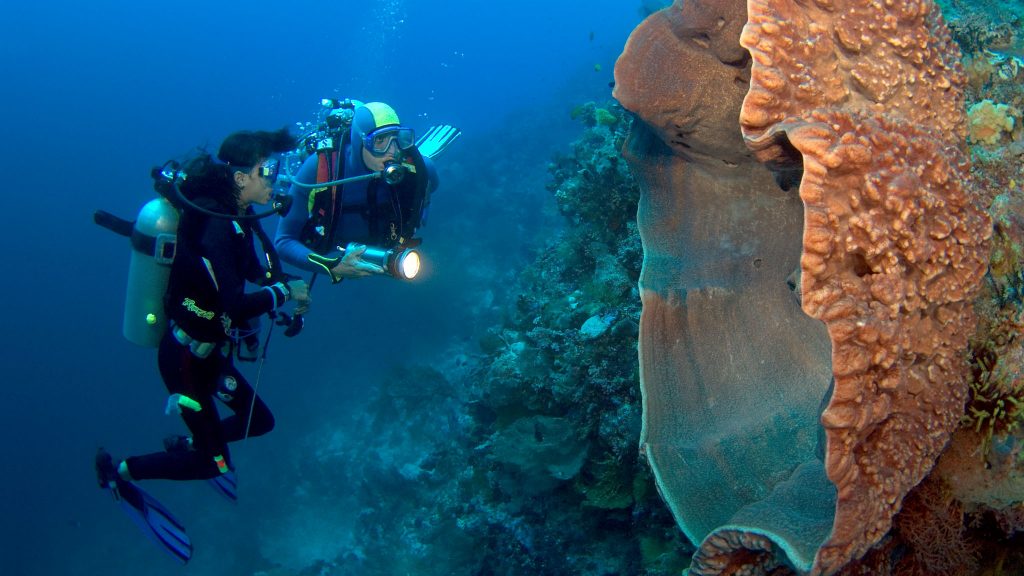 Gelar Bimtek, Kemenpar Berbagi Trik Berpromosi di Luar Negeri