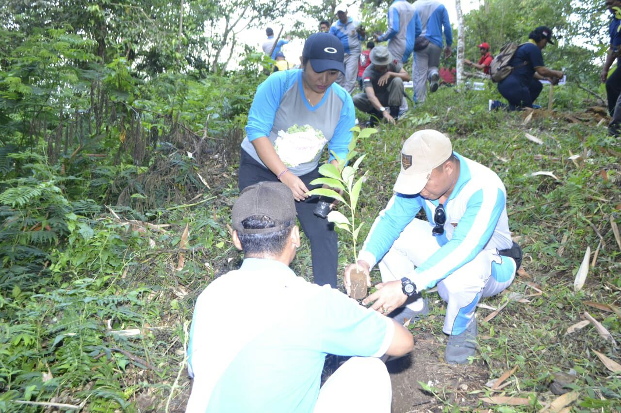 WhatsApp Image 2018-06-13 at 10.46.54