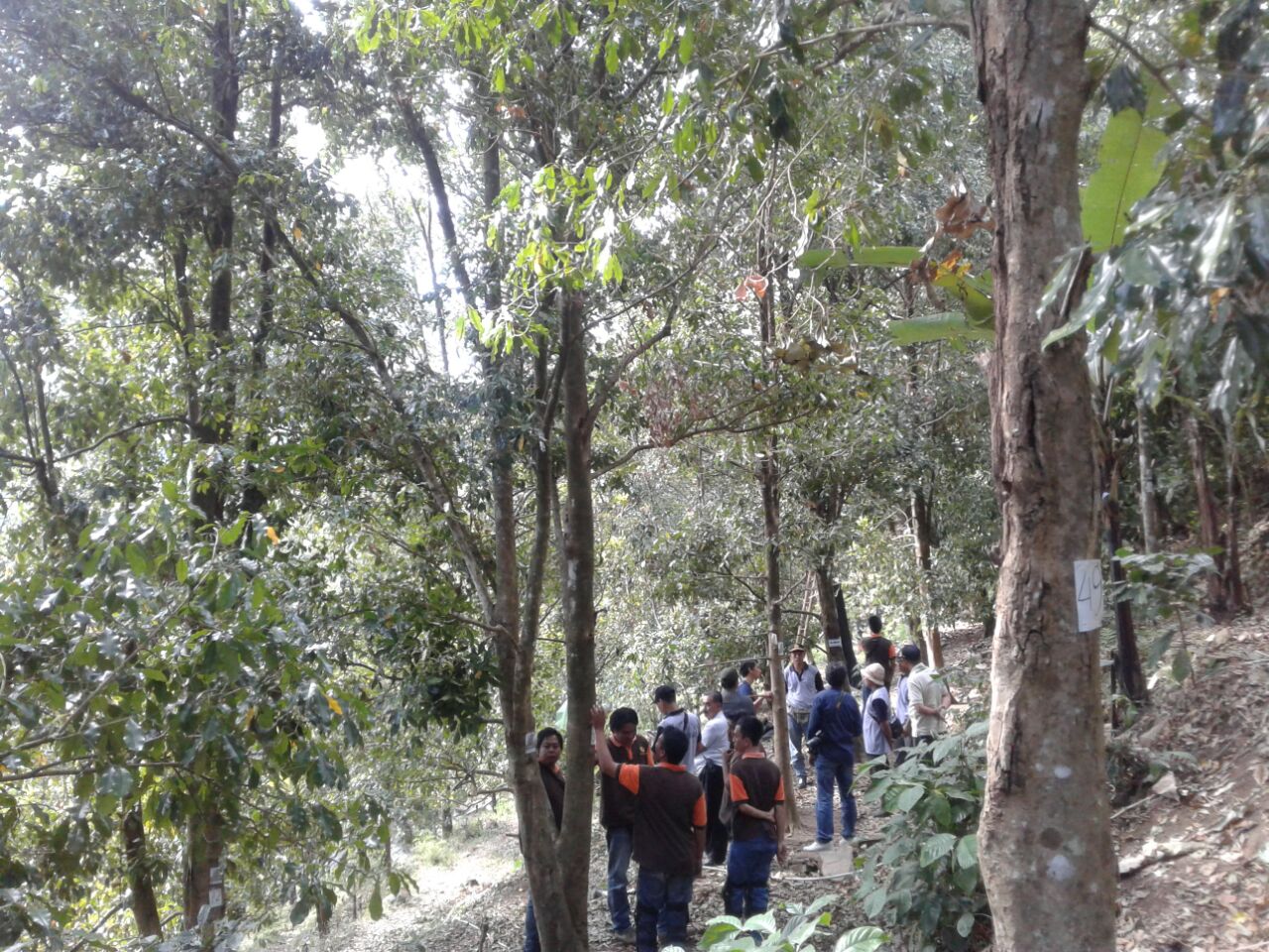 Pertahun Lahan Pertanian Bali Menyusut 1500 Hektar