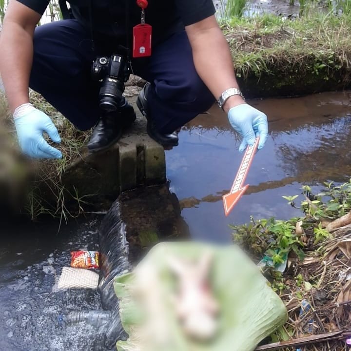 Seorang Petani Di Mengwi Menemukan Orok Bayi Di Saluran Air