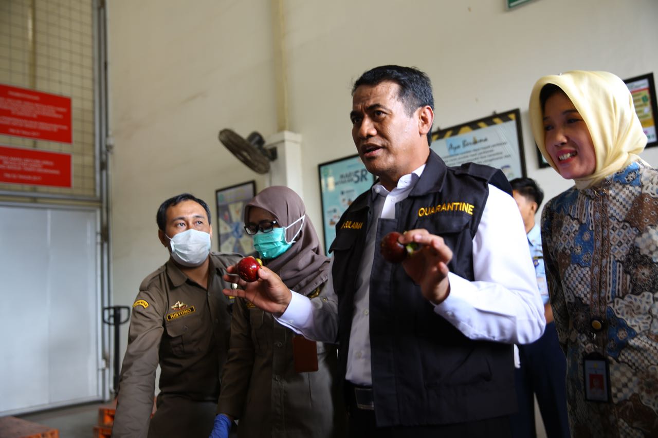 Manggis Indonesia Kuasai Pasar Asia