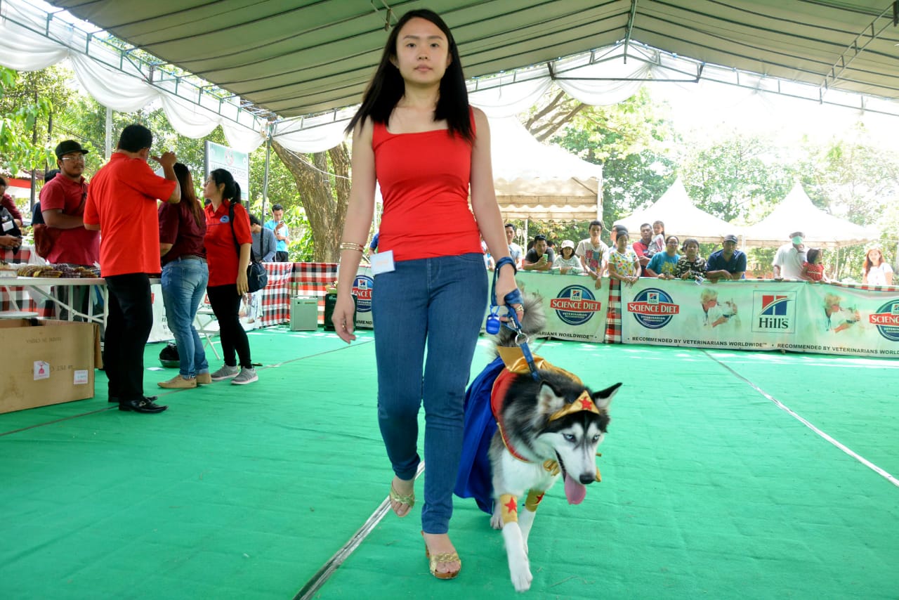 Dog Lovers Bali Dapat Sosialisasi Soal Bahaya Rabies
