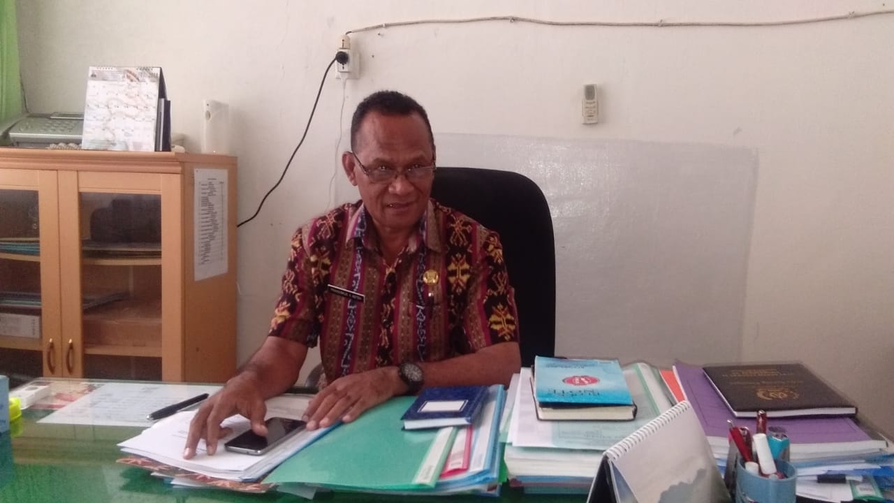 Ini Rincian Umum Formasi CPNSD Kabupaten Belu