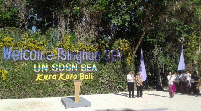 Kura-Kura Bali Jadi Implementasi Tri Hita Karana dan Pembangunan Berkelanjutan