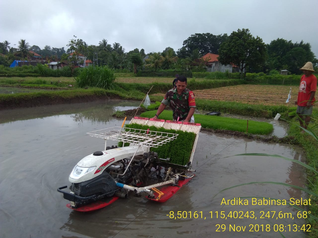 Babinsa Dan Petani Tanam Padi Gunakan Rice Transplanter