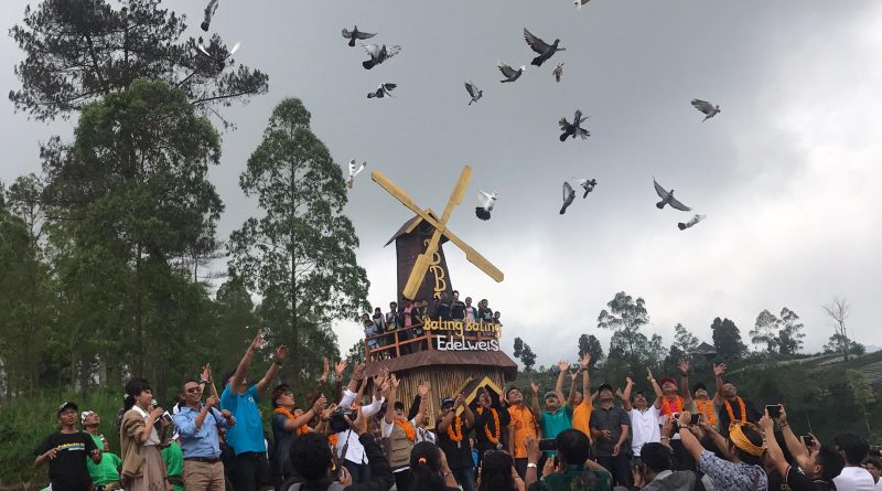 Destinasi Digital Peken Edelweis Ramaikan Pariwisata Bali