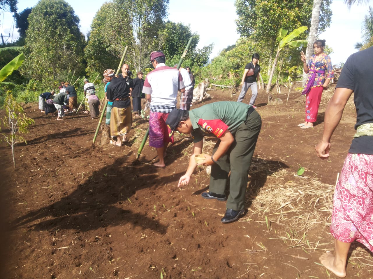 Babinsa Pedawa Ikut Jaga Kearifan Lokal