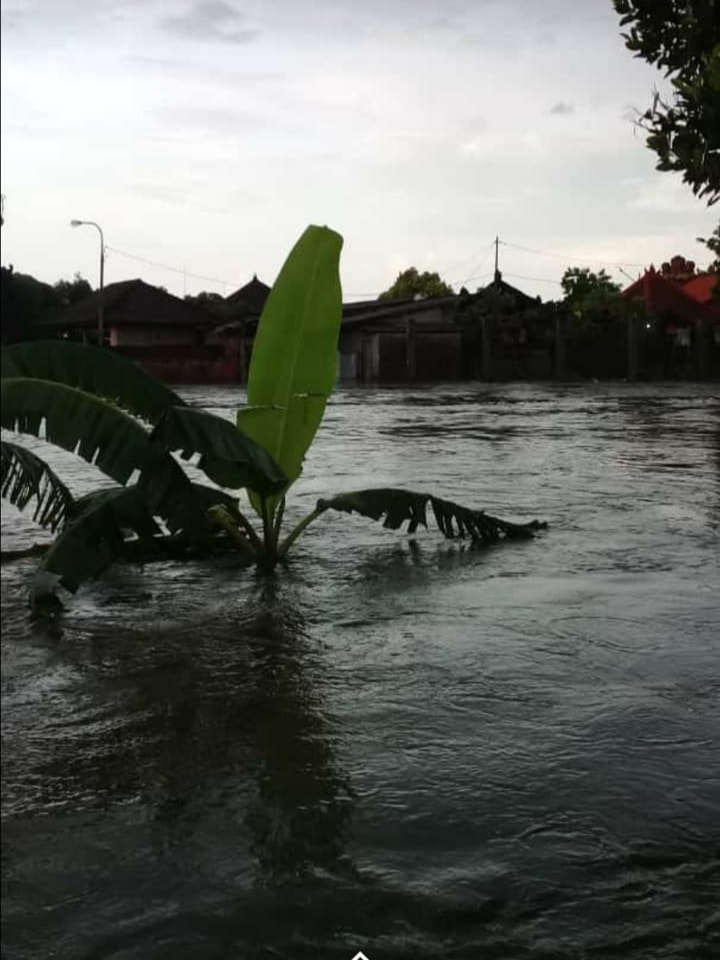 Diguyur Hujan Deras, Kota Denpasar Banjir
