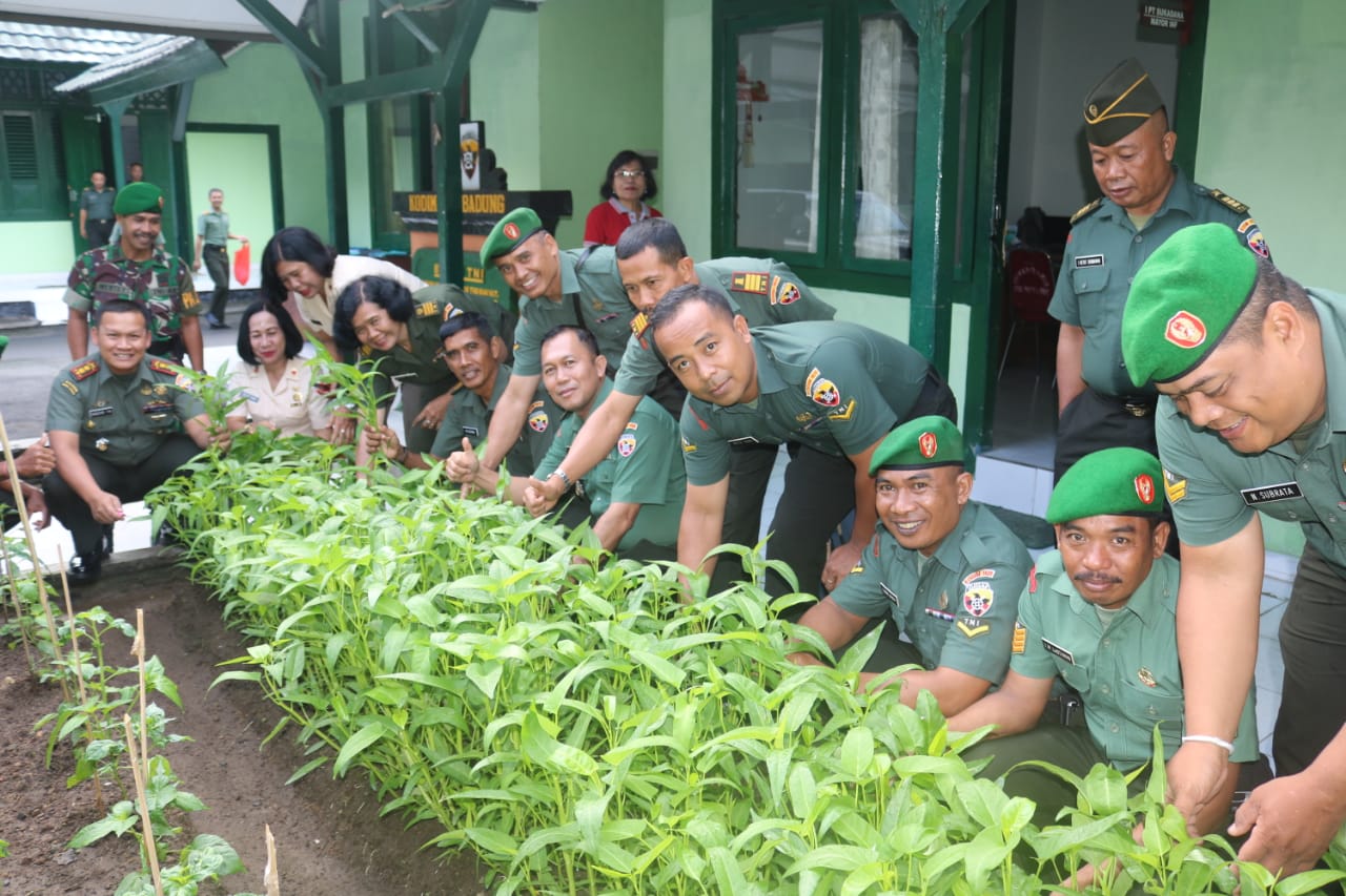 Dandim Badung Panen Sayur Mayur Hasil Lahan Pekarangan