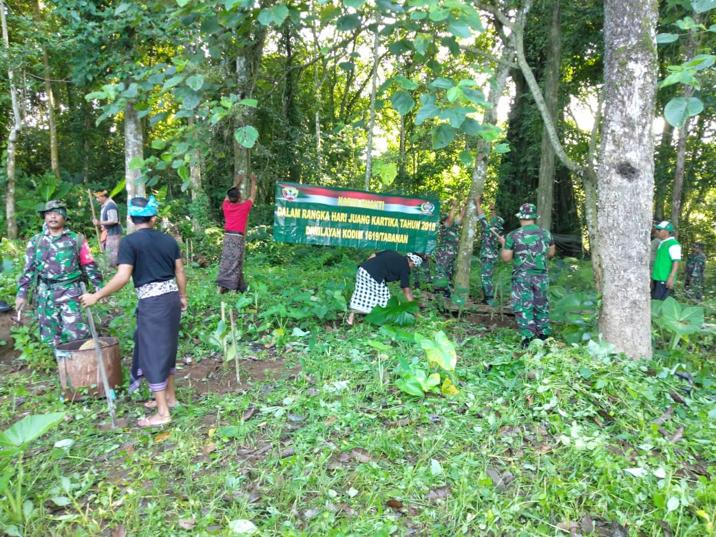 Karya Bhakti Penghijauan, Kodim Tabanan Tanam 900 Pohon Di Areal Pura Besi Kalung