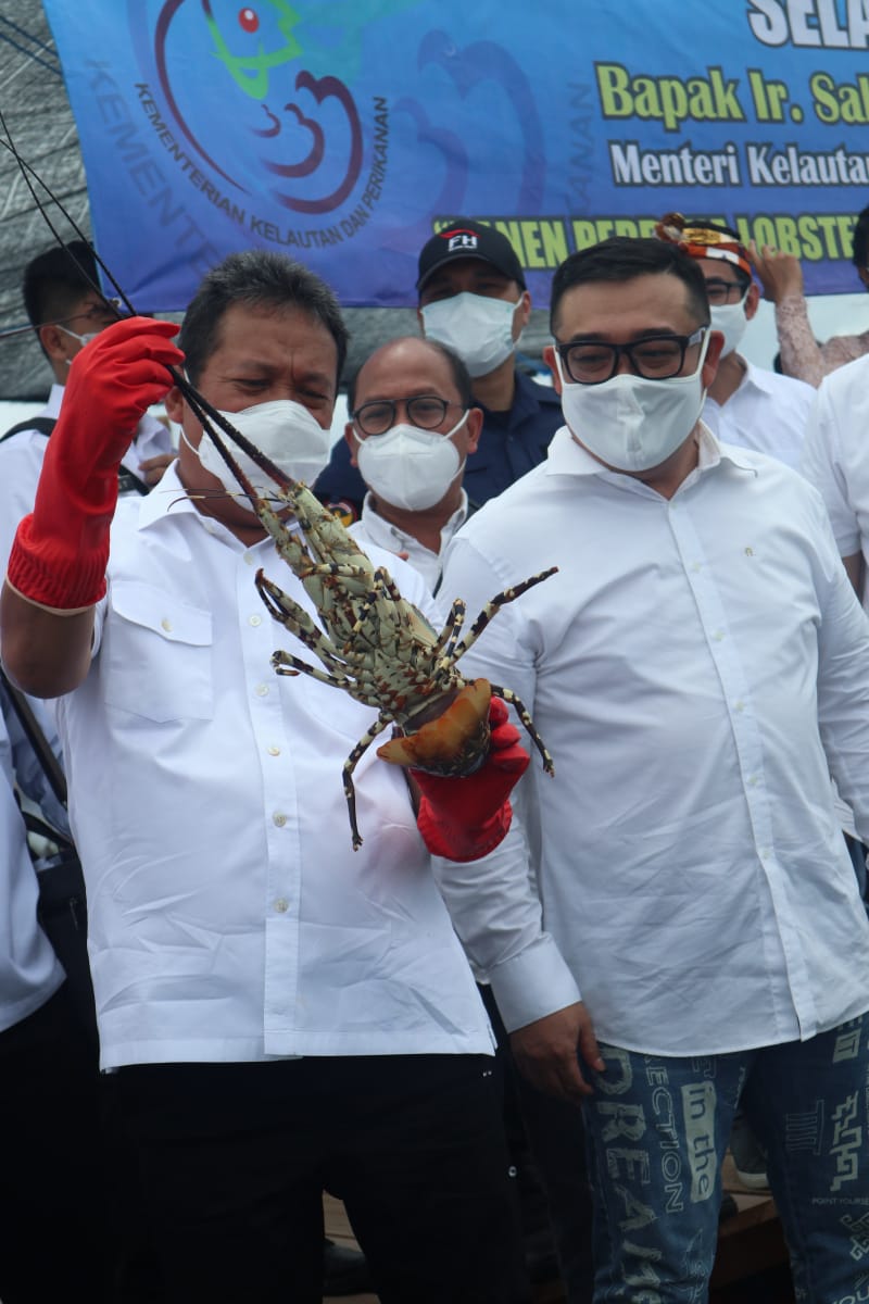 Sakti Wahyu Trenggono Optimis Indonesia Bisa Menjadi Negara Ekspor Lobster Terbesar Dunia