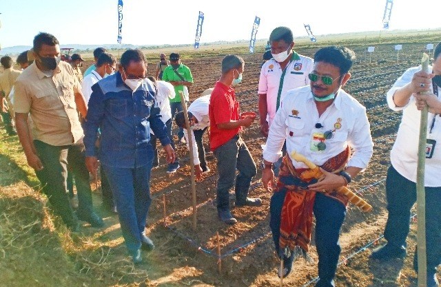Mentan SYL Agendakan ke Sumba Lagi Pastikan Pelaksanaan Food Estate