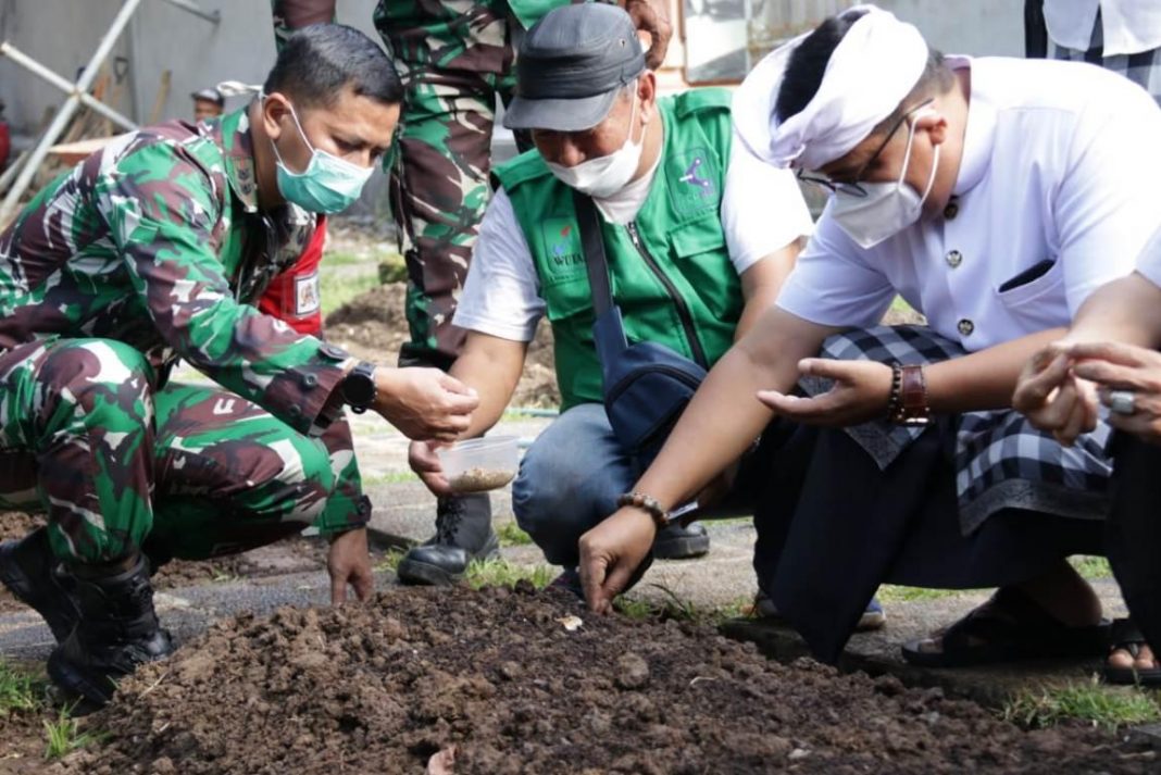 Bupati Sanjaya Perkenalkan Tanaman Sorgum Kepada Petani Tabanan