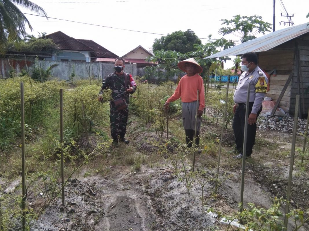 Sinergitas Babinsa dan Bhabinkamtibmas Laksanakan Komsos dengan Petani