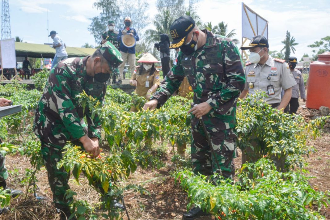 Danrem Izak Pangemanan Melakukan Panen Raya bersama Masyarakat