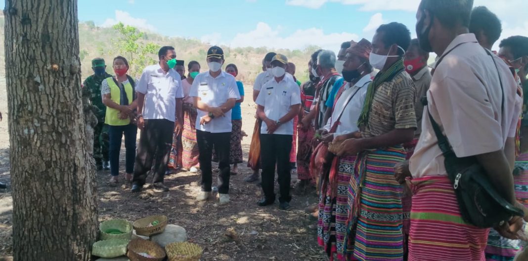Ingin Sukseskan Kegiatan Food Estate di Rotiklot, Bupati dan Wabup Belu Ikuti Ritual Adat
