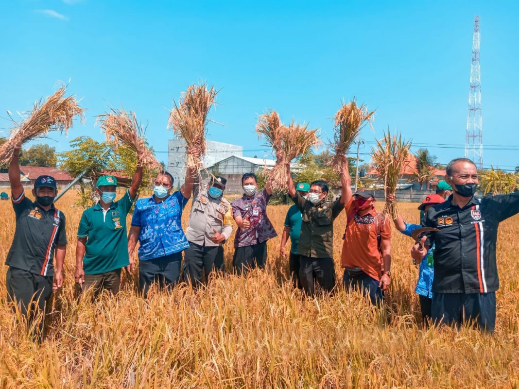 Perda Sistem Pertanian Organik, Acuan Distan Buleleng Pulihkan Tanah Pertanian