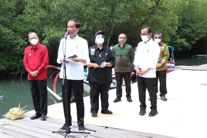 Kunjungan Kerja ke Bali, Presiden Tinjau Penanaman Mangrove dan Venue G20
