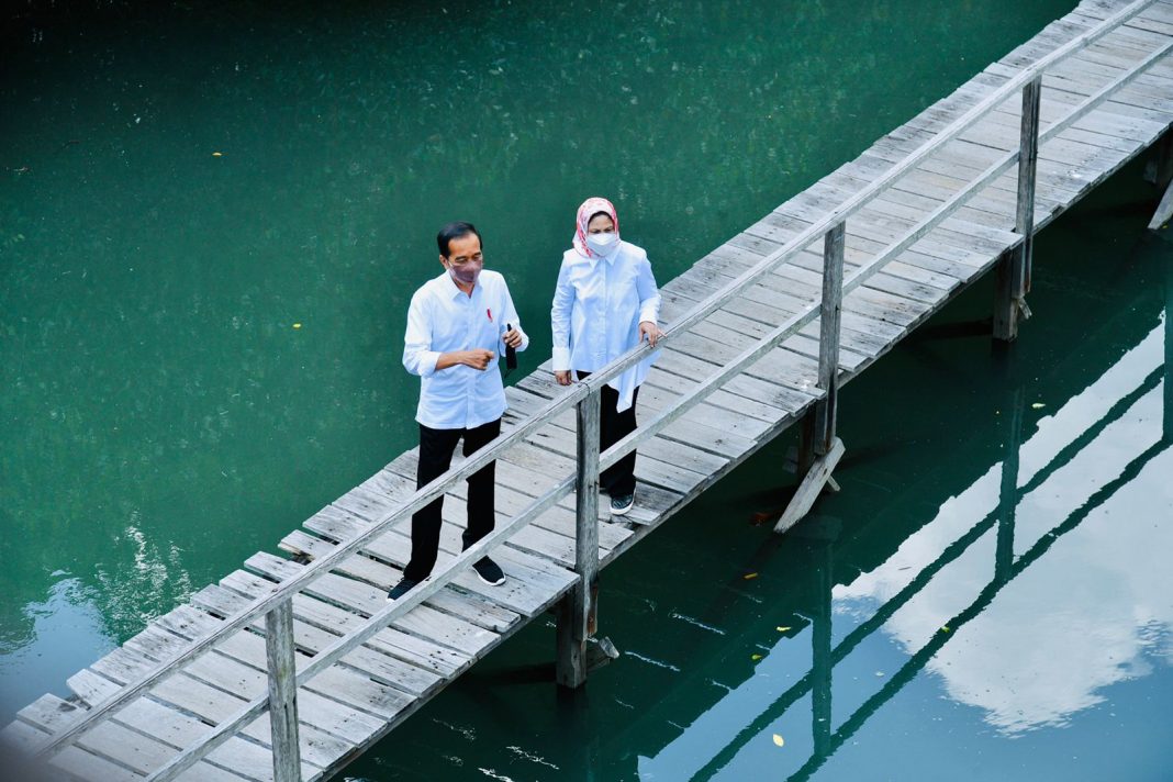 Presiden Jokow Tinjau Hutan Mangrove di Bali