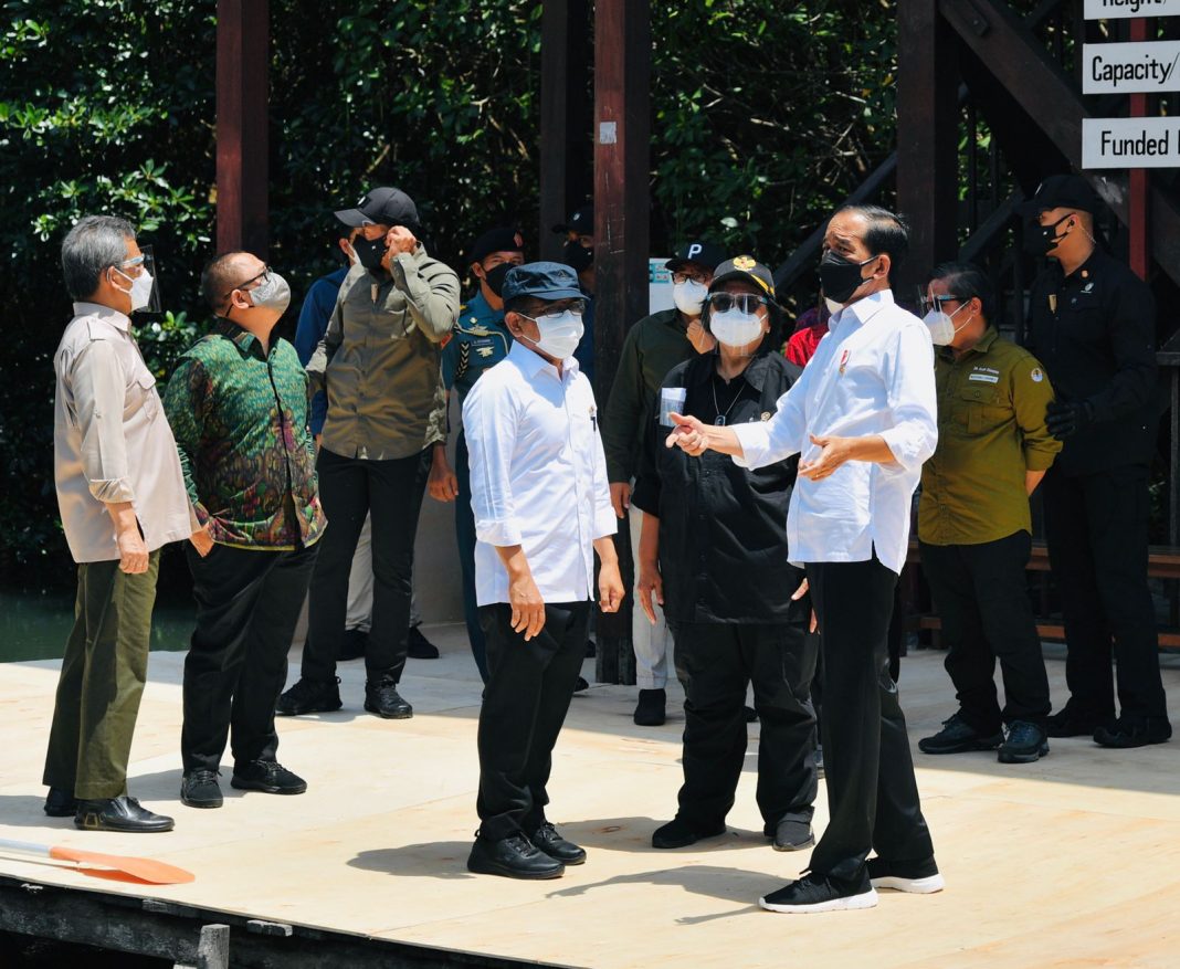 Pemerintah Akan Terus Replikasi Model Rehabilitasi Mangrove di Provinsi Lain