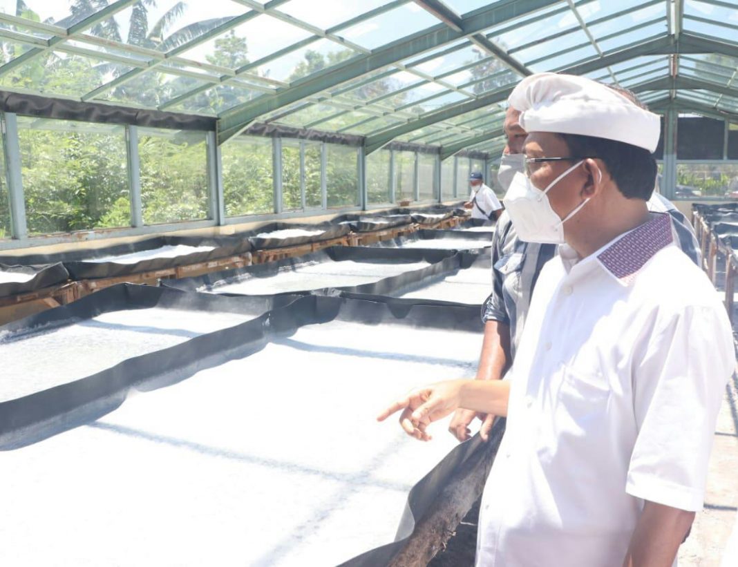 Gubernur Bali, Wayan Koster Tinjau Tempat Usaha Produk Garam Tradisional Lokal Bali di Desa Pemuteran