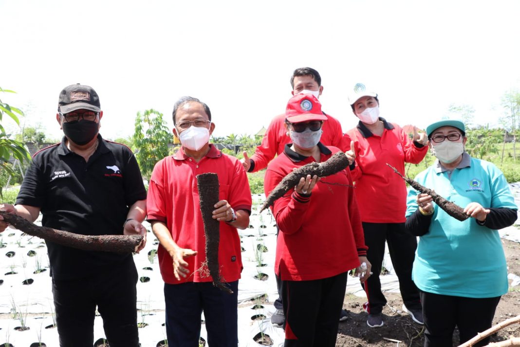 Gubernur Wayan Koster Ajak Stop Impor Beras dan Garam di Hari Pangan Se-Dunia Tingkat Daerah Provinsi Bali Ke-41
