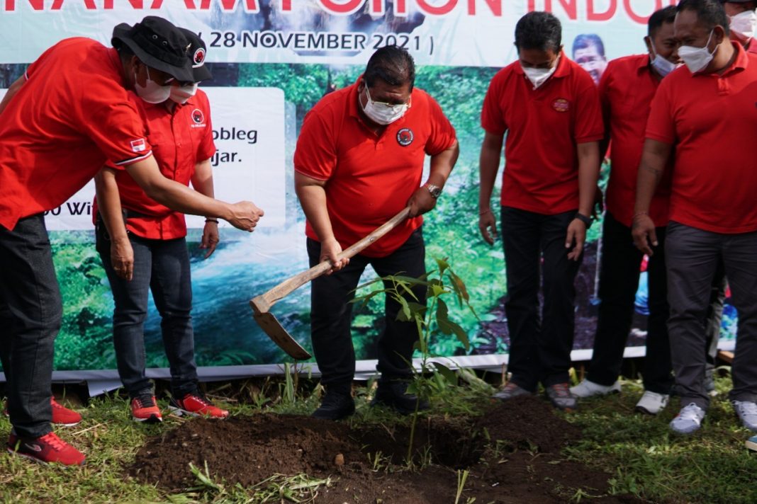 DPC PDI Perjuangan Buleleng Tanam 1000 Pohon