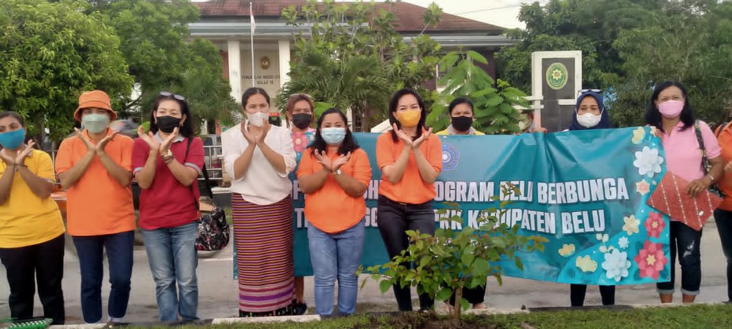 Peduli Keindahan Kota Batas Negara RI-RDTL, Tim Penggerak PKK Belu Lakukan Soft Launching Belu Berbunga