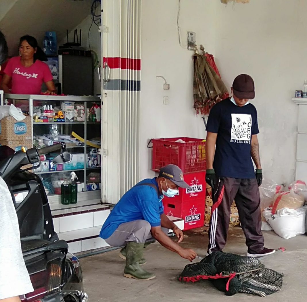 Cegah Rabies, Distan Buleleng Imbau Anjing yang Dipelihara Tidak Diliarkan dan Ikuti Vaksinasi