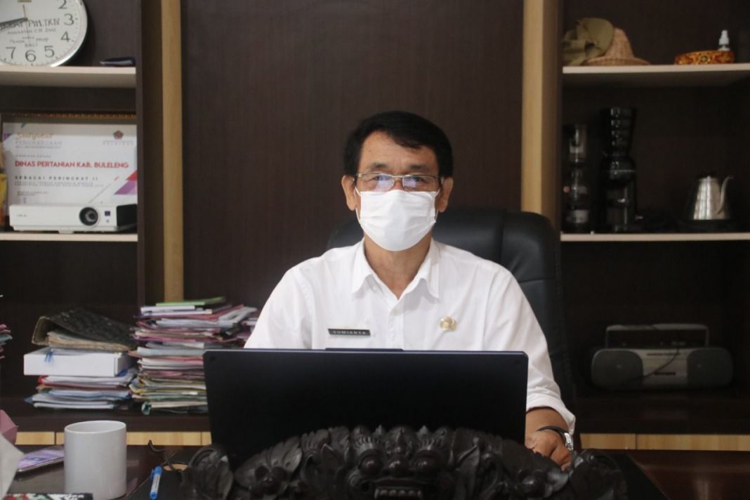 Kembangkan Ekonomi Kerakyatan Berbasis Produk Unggulan Daerah, Distan Buleleng Tetapkan 3 Sasaran