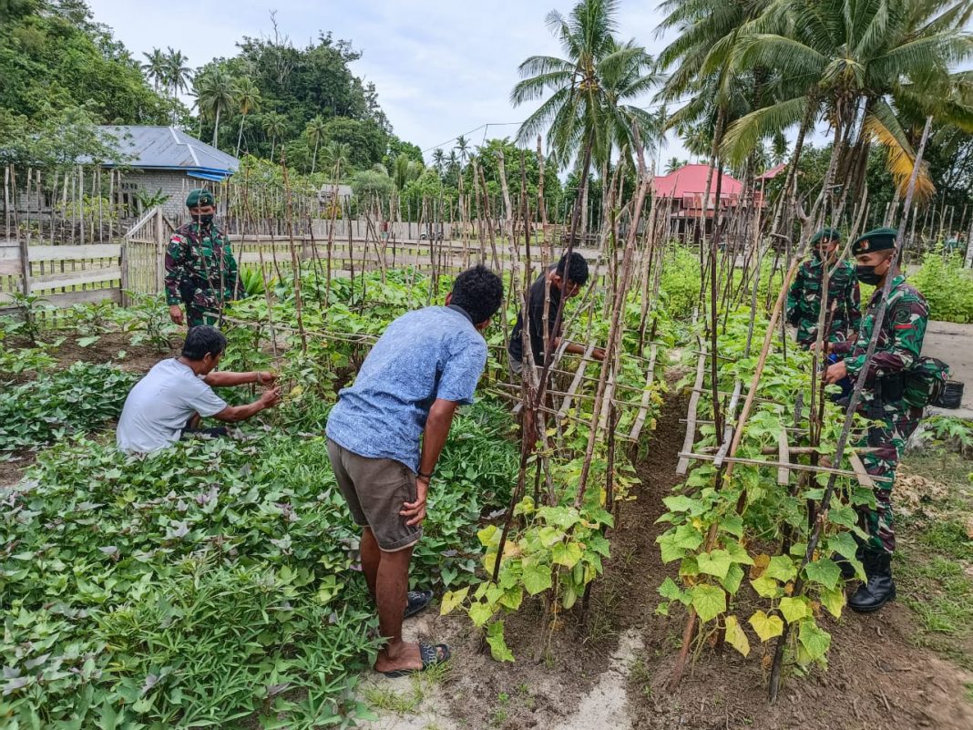 Satgas Kodim Maluku Utara Yonif RK 732/Banau Ajak Masyarakat Berkebun