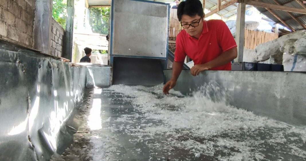 Banting Setir Dari Pesiar, Eka Dharmawan Sukses Kelola Sampah Plastik di Bali