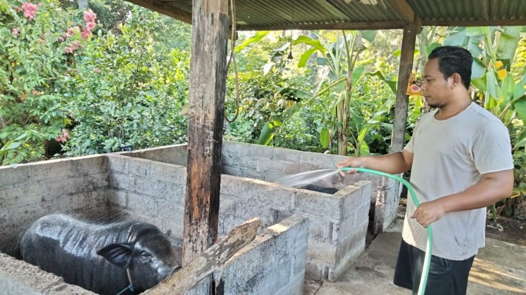 Ngayah” Sebagai Penyuluh Agama Hindu, Gede Cakra: Ini Adalah Tugas Mulia