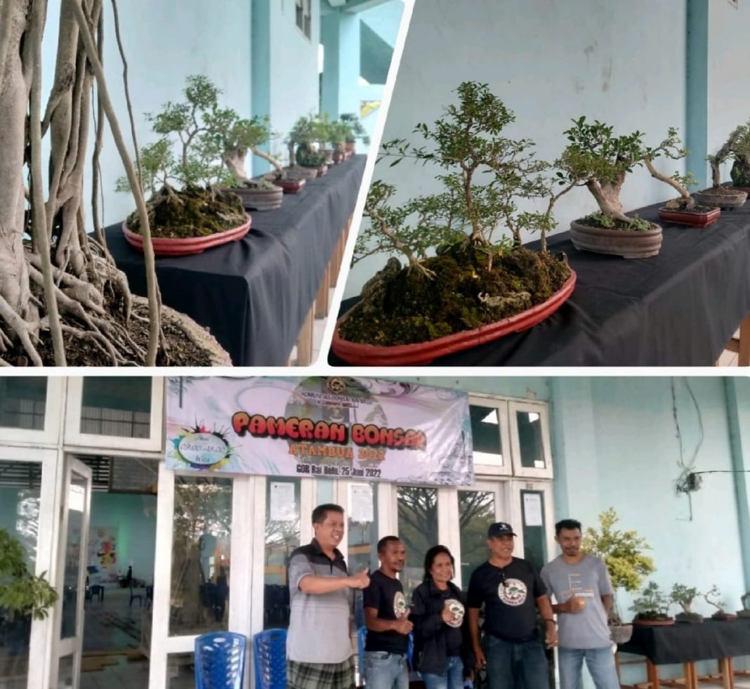 Komunitas Bonsai Rai Belu Gelar Pameran Perdana Di Atambua Batas RI-RDTL