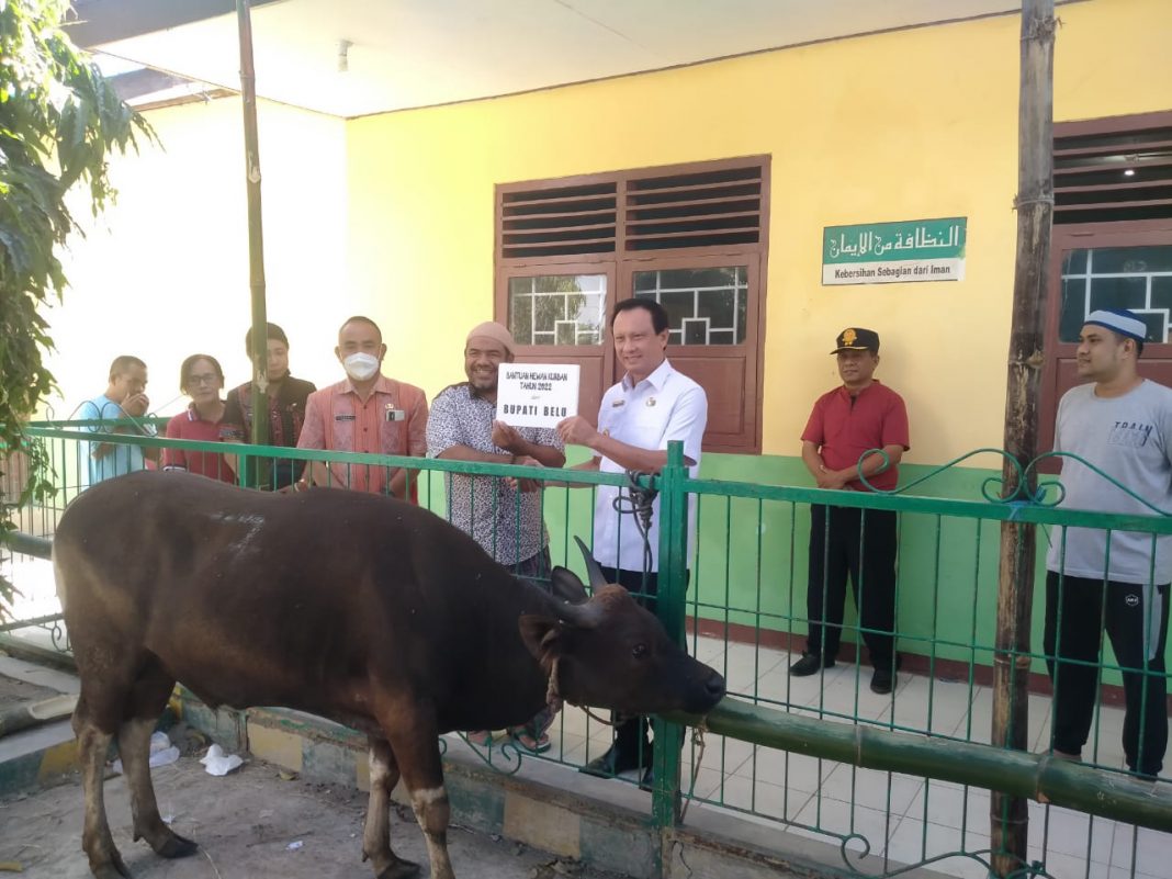 Jelang Hari Raya Idul Adha 2022, Bupati Agus Taolin Serahkan Hewan Qurban