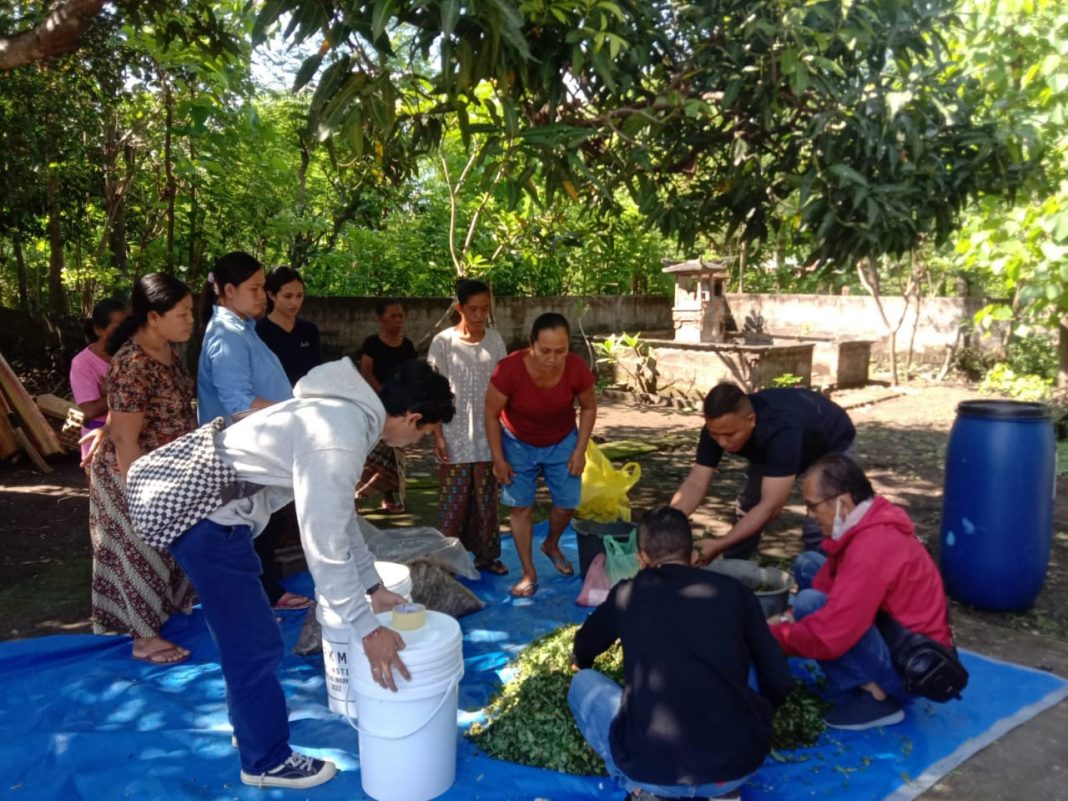 FP Unwar Perkenalkan Teknologi Pakan Fermentasi bagi Peningkatan Produktifitas Babi Bali