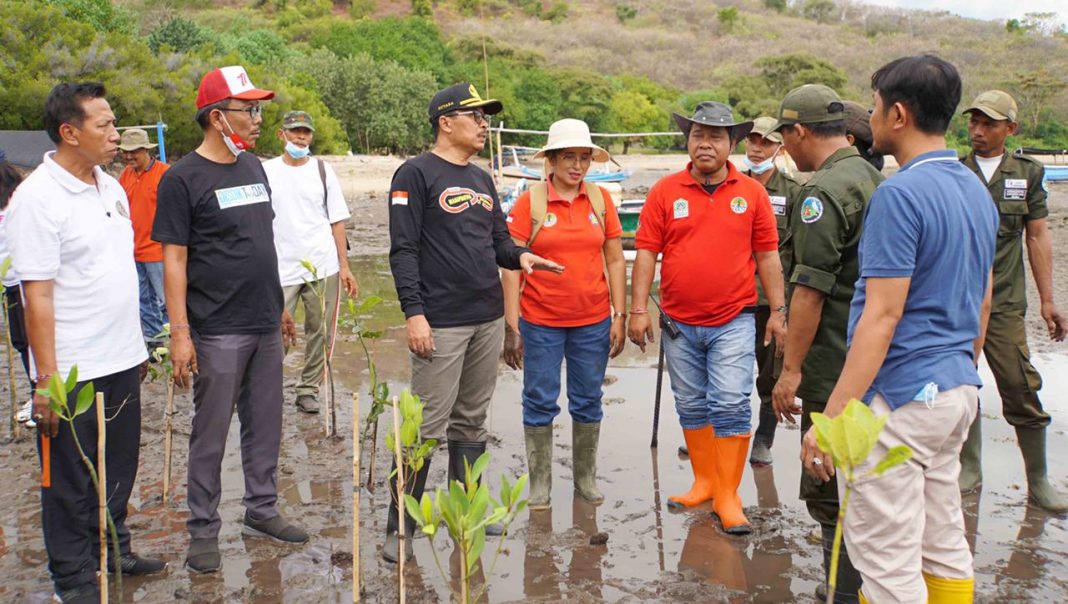 Pemkab Buleleng Lakukan Upaya Restorasi Hutan Mangrove di Pantai Desa Pemuteran