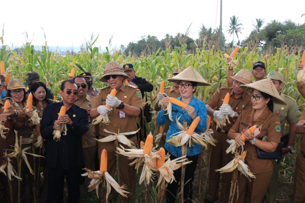 Turun Di Desa Gadungan, Ny. Rai Wahyuni Sanjaya Berikan Dukungan Moril Kebangkitan IKM/UMKM di Desa