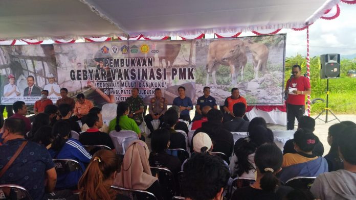 WhatsApp Image 2022-10-14 at 20.58.34