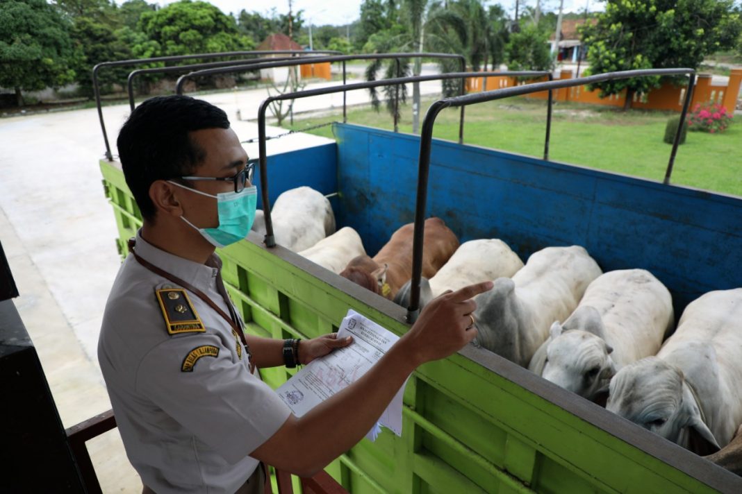 Satgas Minta Bali Tetap Konsisten Lakukan Biosecurity untuk Antisipasi PMK