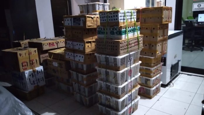 WhatsApp Image 2022-12-05 at 12.00.49