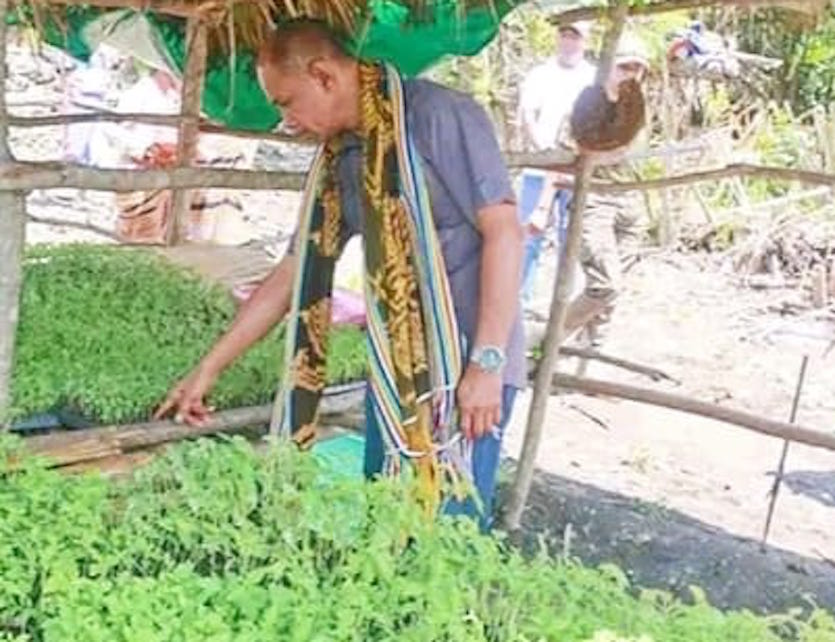 Petani Kembangkan Komoditi Tomat Servo, Wabup Belu : Kuncinya Rajin dan Kerja Keras