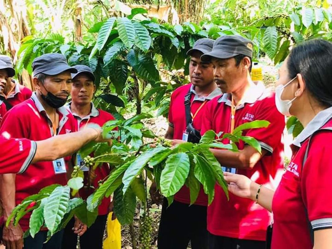 Tiga Isu Strategis Acuan Recovery Pasca Covid-19 Bidang Pertanian