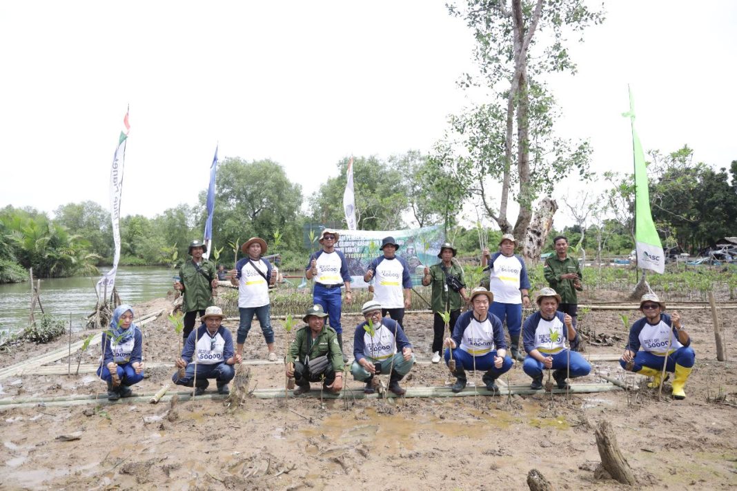 Wujudkan Bumi Yang Lebih Hijau, PT Asahimas Chemical Kali Ke 3 Galakkan Aksi Penanaman Mangrove Bersama Masyarakat