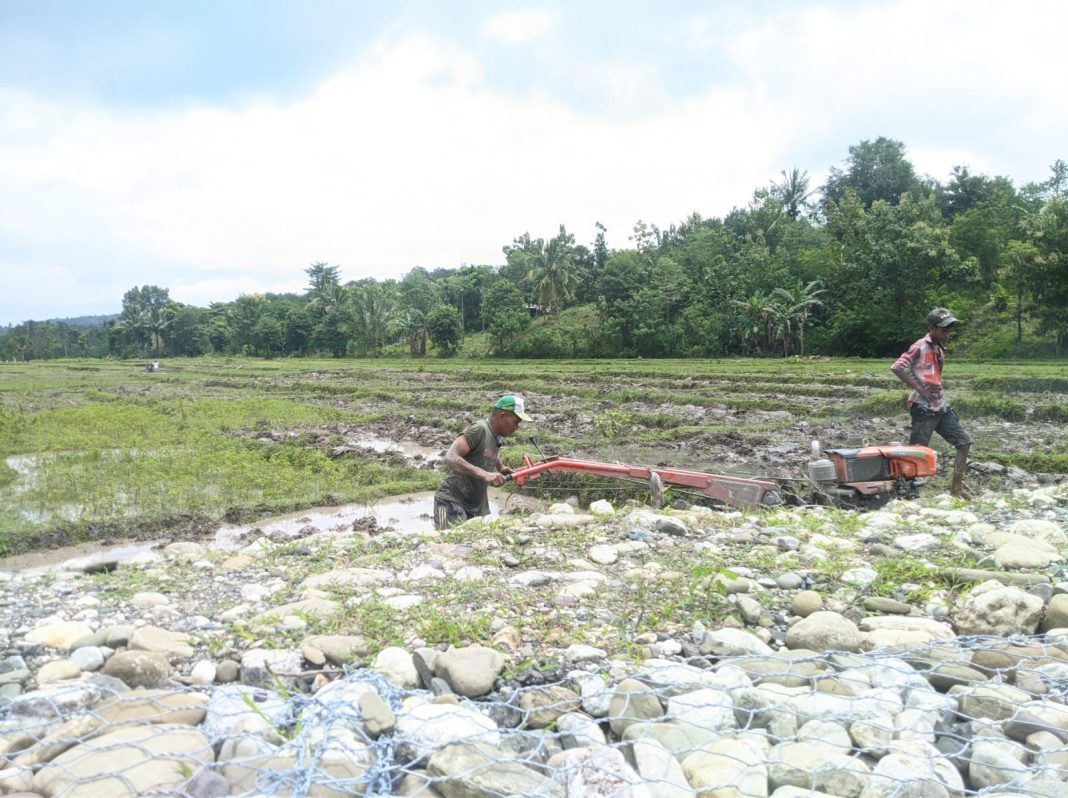 Selamatkan Puluhan Hektar Lahan Pertanian Warga Belu, Pemerintah Bangun Bronjong di Sepanjang Sungai Baukama Batas Negara RI-RDTL
