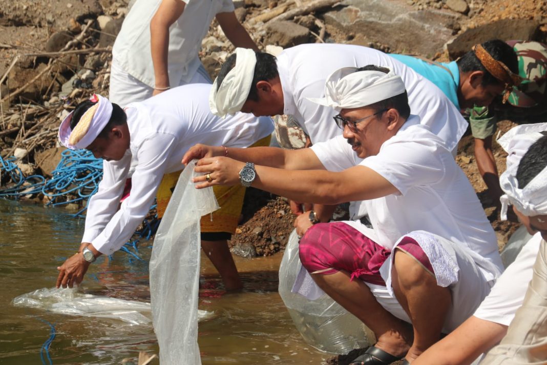 Tumpek Uye, Pemkab Buleleng Tebar Ribuan Benih Ikan di Bendungan Danu Kerthi