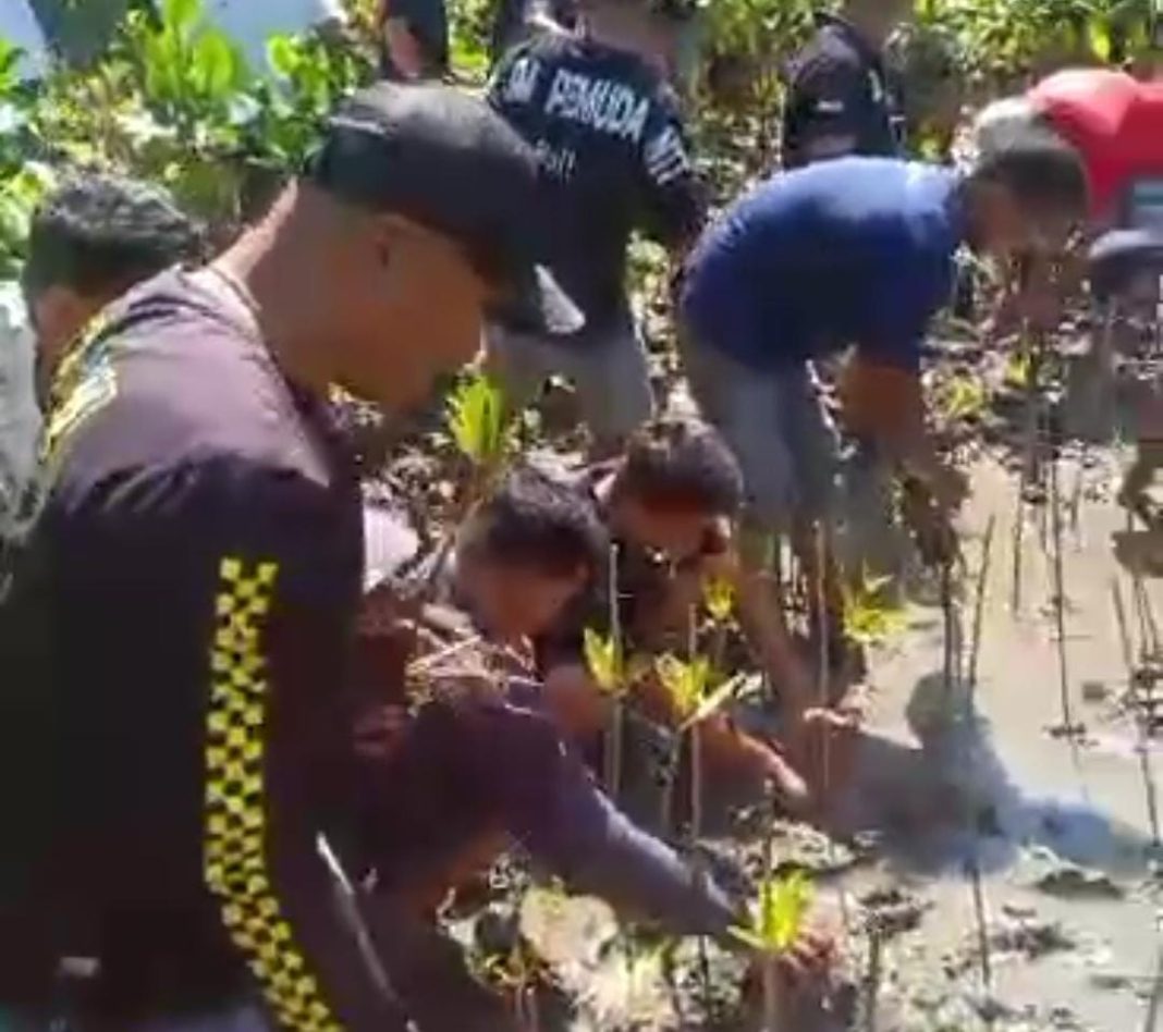 Lestarikan Alam Bali, Forum Pemuda NTT Tanam Ratusan Pohon Bakau