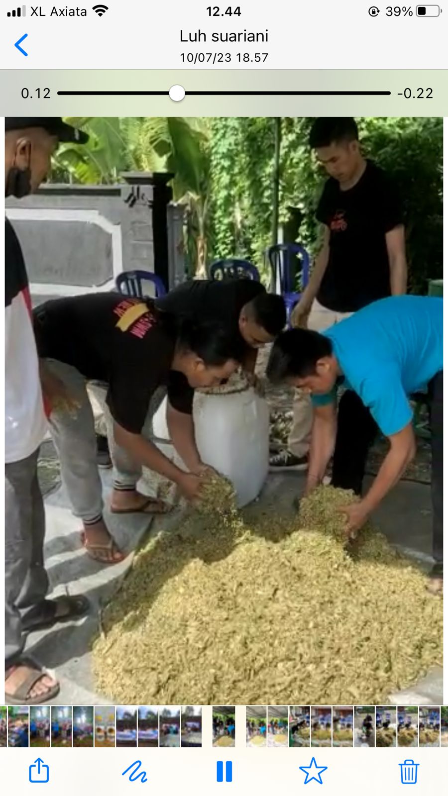 Di Jembrana, Ubi Talas Bisa Disulap Jadi Pakan Ayam