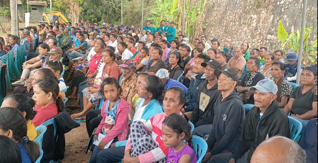 Ribuan Masyarakat Kunjungi Kebun Percontohan Pemkab Belu, Koordinator Poktan : Semoga Direstui dan Kami Bisa Panen